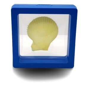 Blue Display Frame with Yellow Shell 2.75x2.75